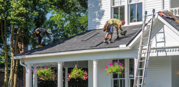 Best Roof Moss and Algae Removal  in Round Lake, IL